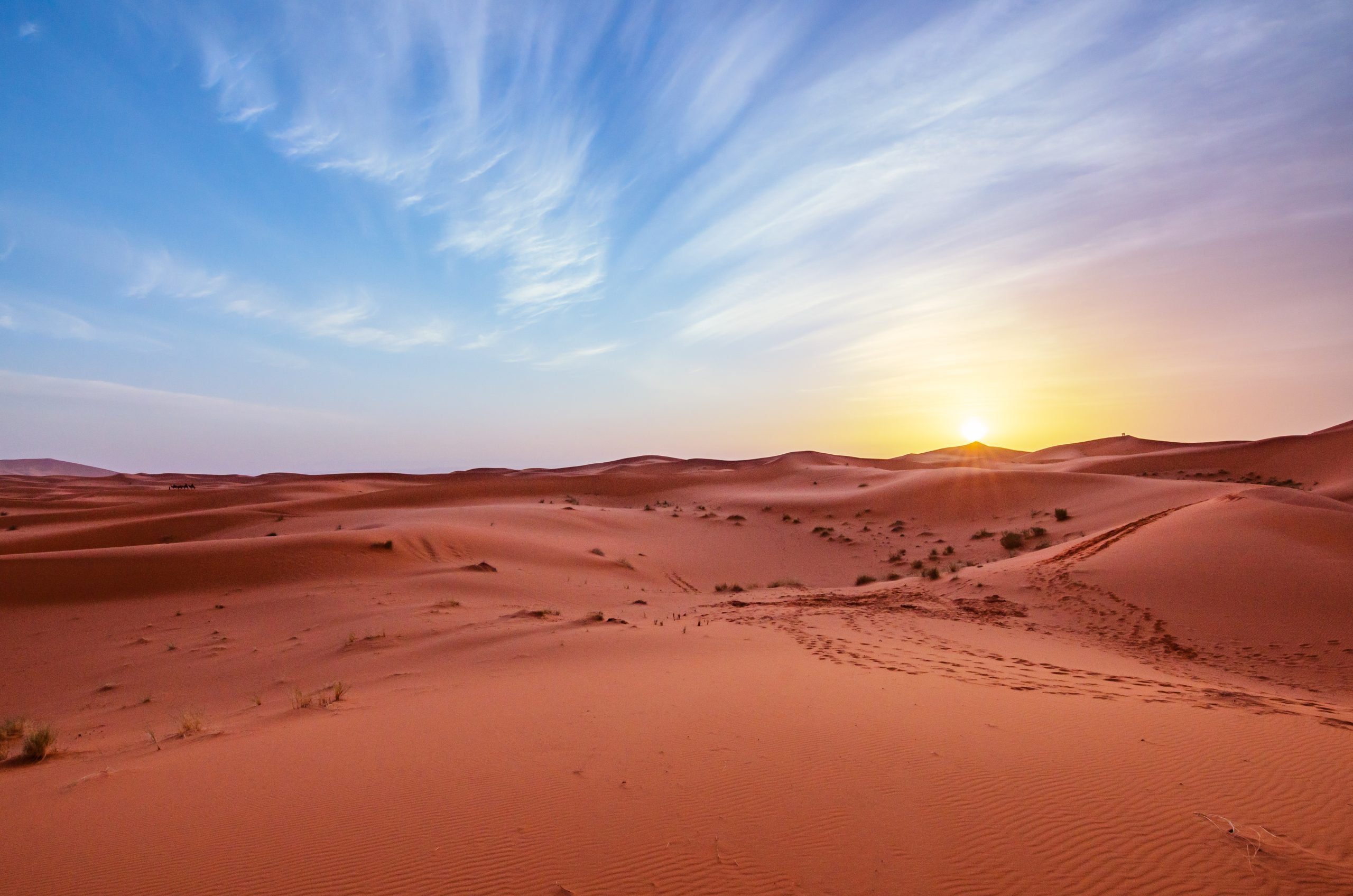 A landscape of sand dunes with animal tracks against a sunset sky