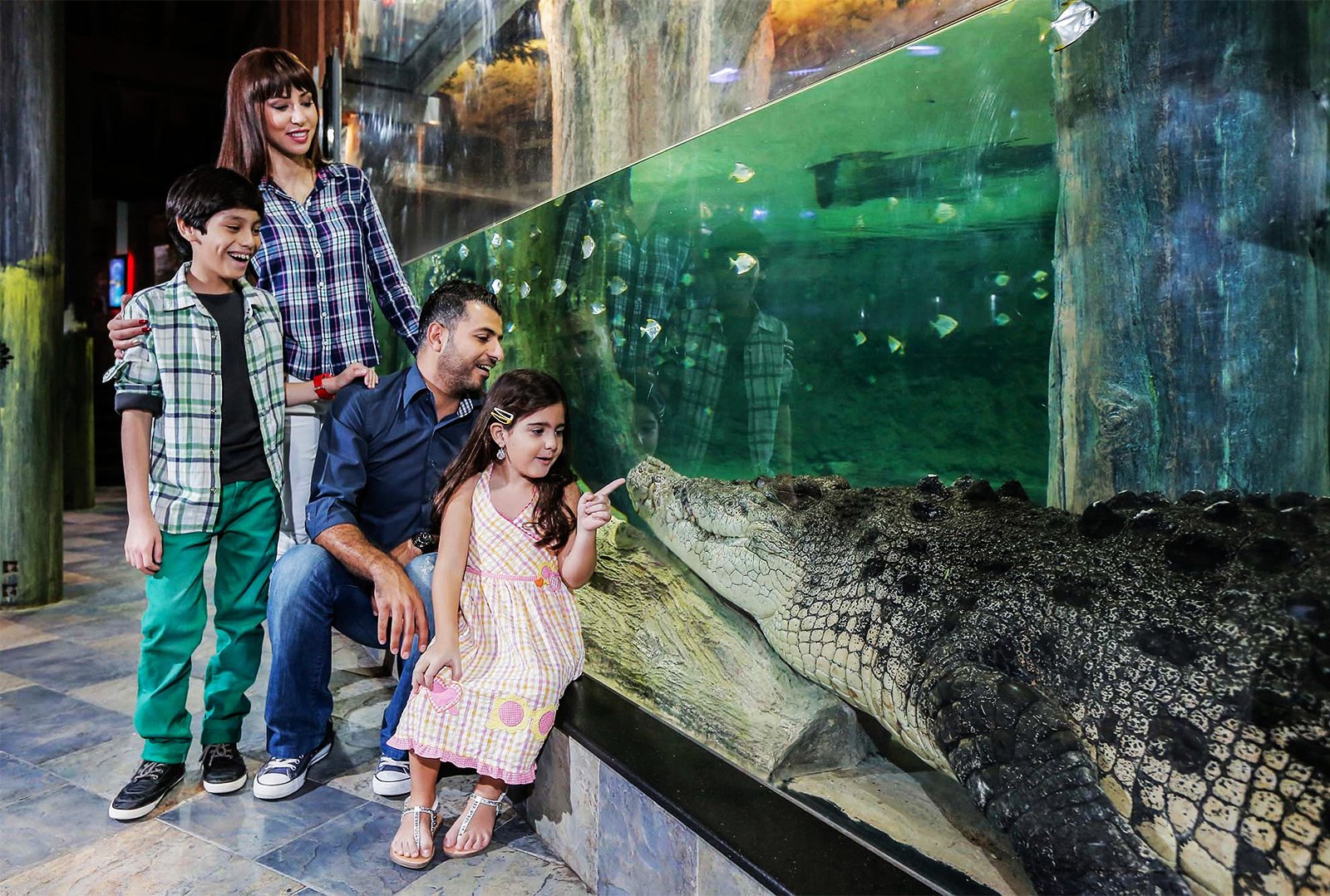 Dubai Crocodile Park 1